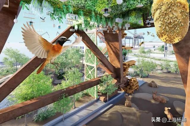 周末来复兴岛，做休闲“岛民”