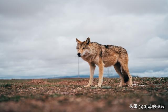 一个放在泉州会因破旧落后而出名的村子，被厦门改造成网红打卡地