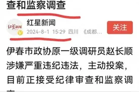 黑龙江伊春出了个大新闻 ，60岁大秘主动投案，这退休操作绝了！图片