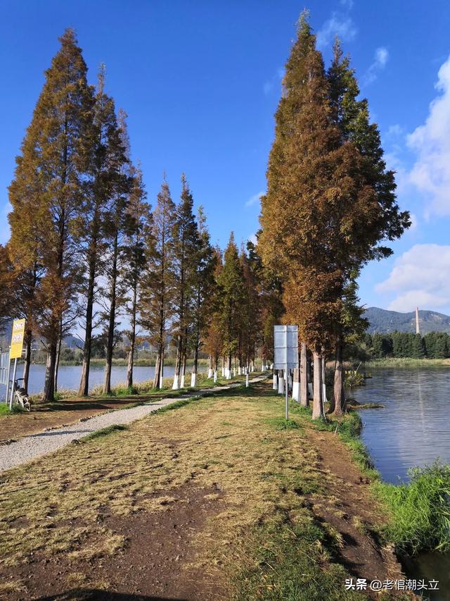 冬天的早上 晒着太阳从大观楼徒步到西山茶马花街 是什么样的感受?