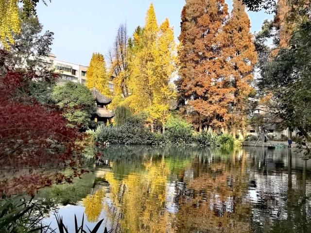 【文史英华】崇州陆游祠的600年炽热守望‖雷仕忠