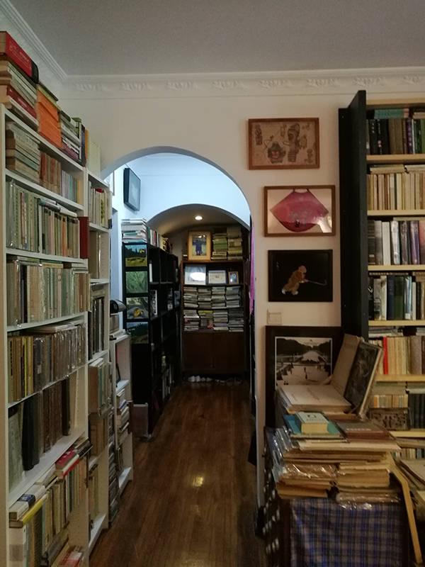 上海绍兴路 徒步中的梧桐绿荫 书香文艺 欧陆建筑