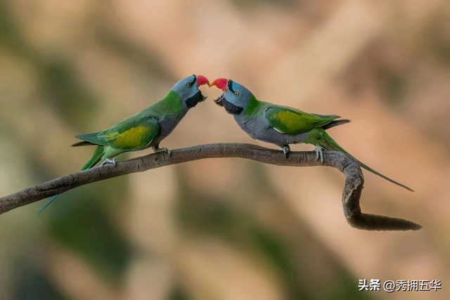 冬之云南 万羽衔霜｜新霞客·旅居记
