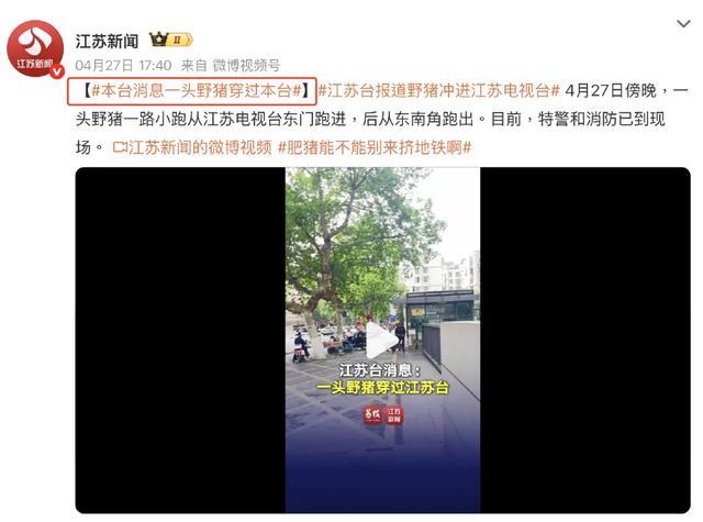 远离禽兽