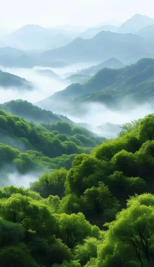 云雾缭绕，风光无限美，人间仙境！