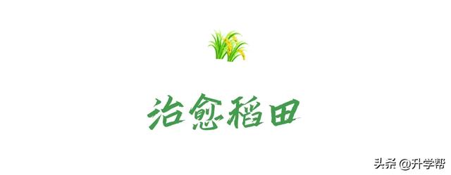 四川的秋！是令人心动的秋！