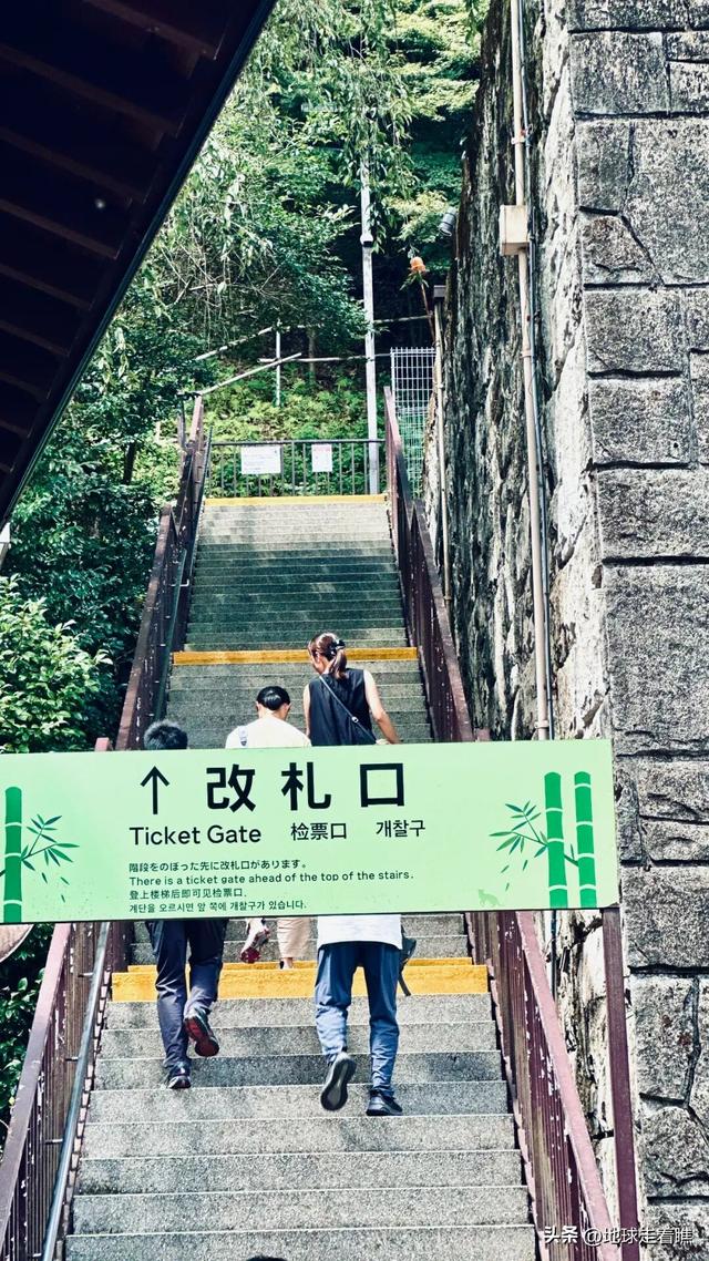 在京都最热的天，我抢到了那节“没顶”的5号车厢