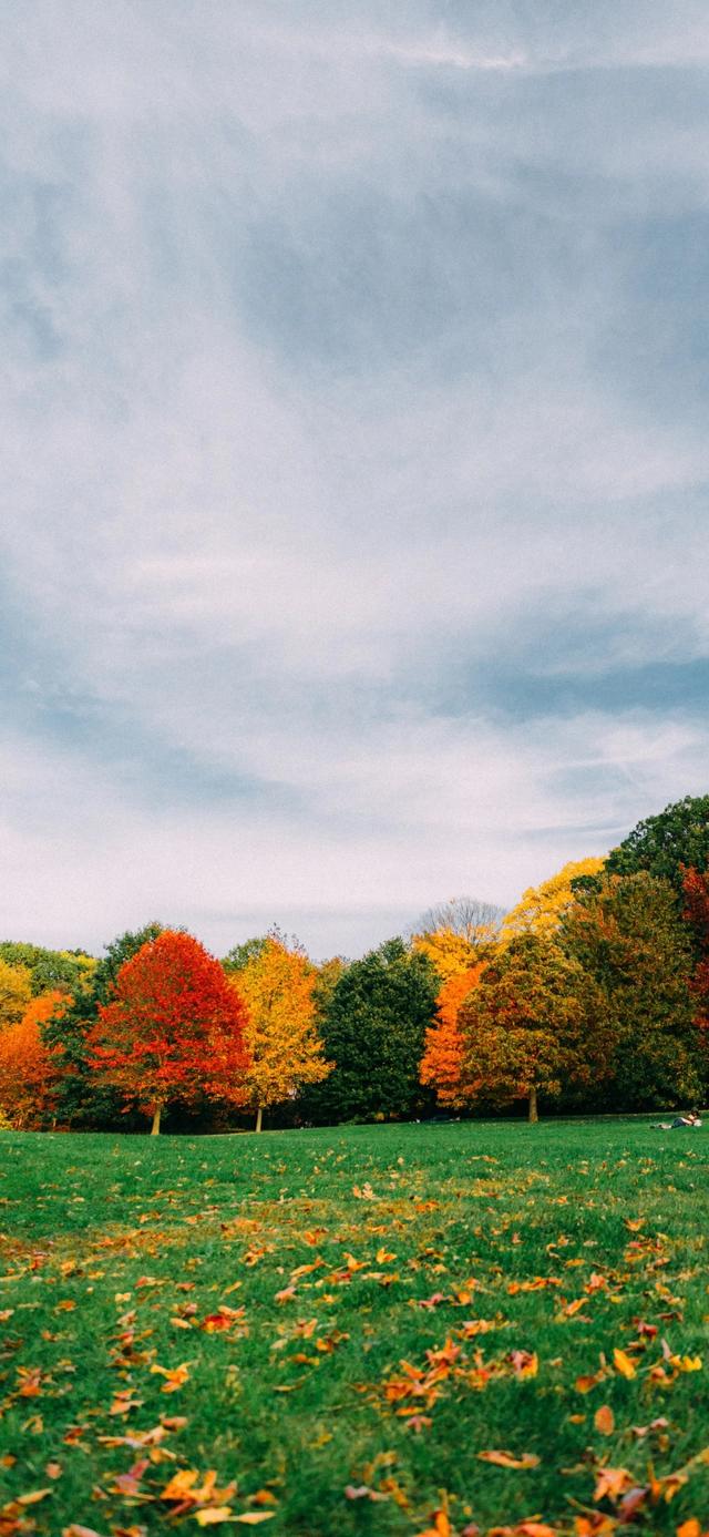 手机壁纸|秋天自然绝美风光美景