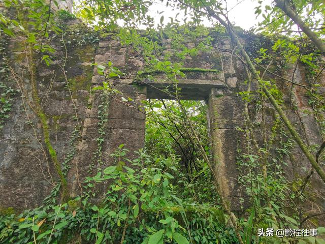 探寻龙眼山古寺遗址，一次最为艰难的野外探险之旅