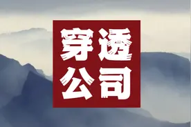 重庆一大型民企集团破产重整获批，总负债和重整方案曝光图片