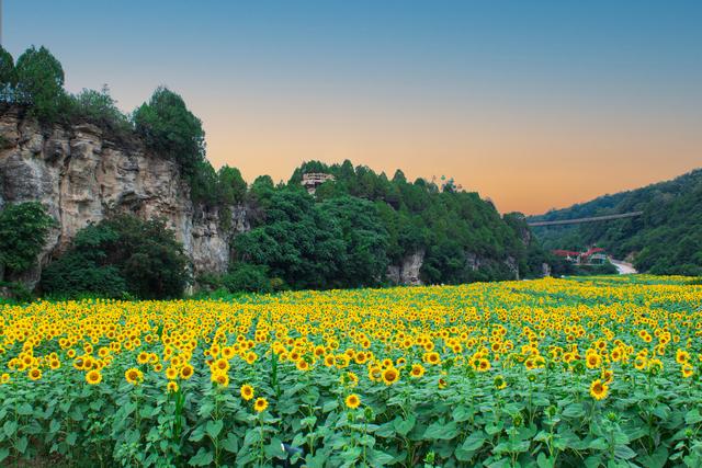 铜川文旅盛宴点燃夏日活力 多元活动绘就文旅融合新图景