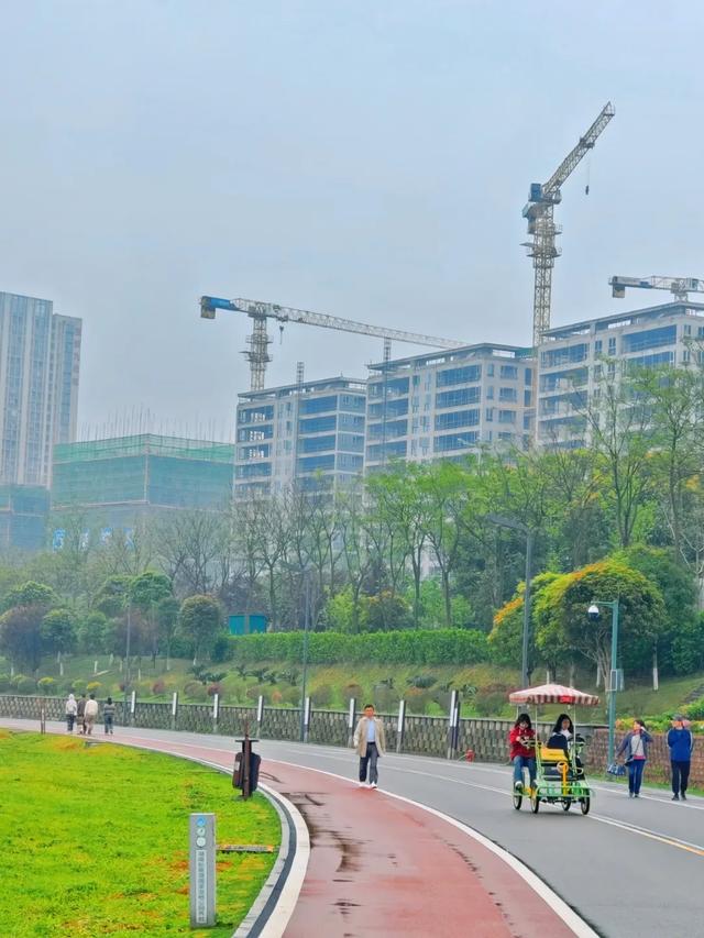 速报！长沙这个地方银杏浓度达100%，赏芦苇、砍甘蔗，遛娃惊喜超多