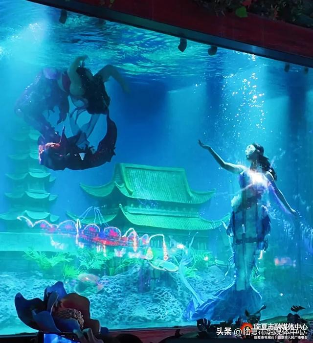 必冲!花都跨年盛宴→花式嗨玩+惊喜持续!在临夏市解锁跨年满分仪式感!