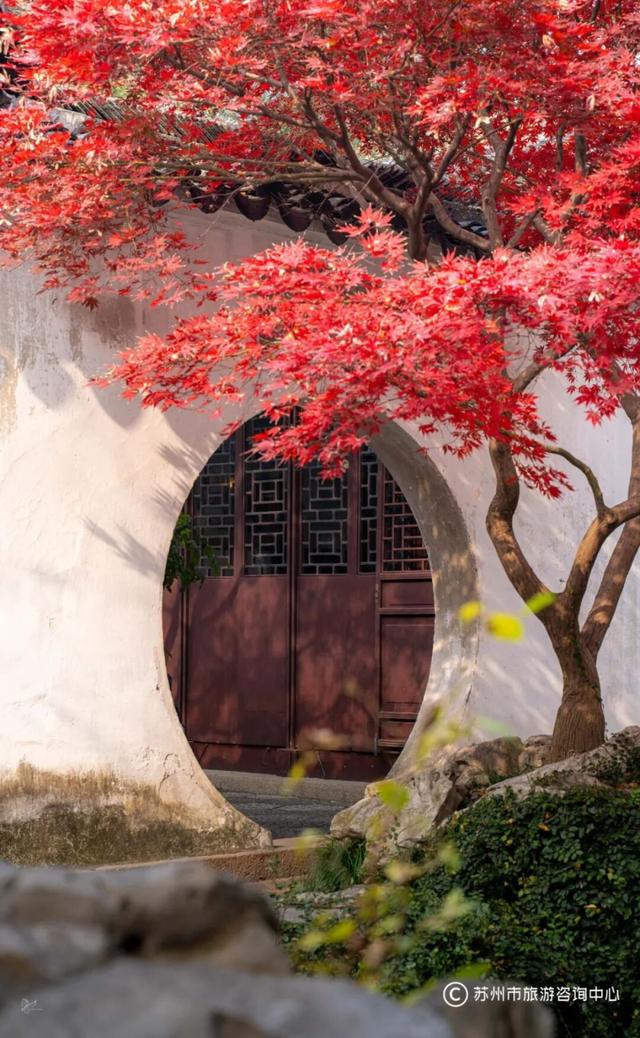 苏州园林秋色拍照攻略！这几个机位包出大片！