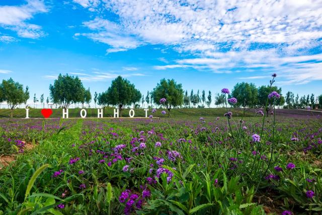 暴降20℃！呼和浩特限定奇观！呼市人“一待就是一整天”