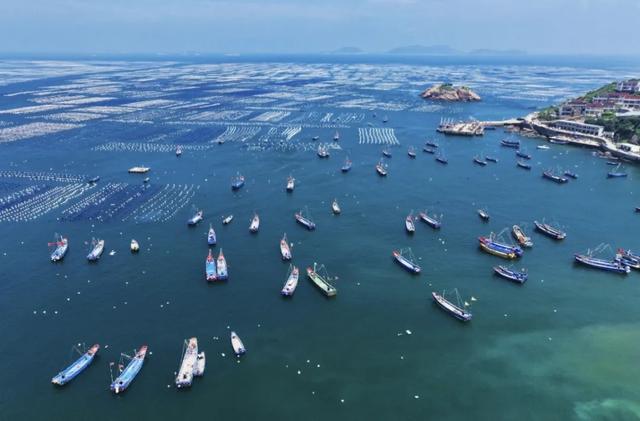 体荟四季｜冲浪、赶海、骑行...江浙沪这些 “动感海岸线”激活你的整个夏天