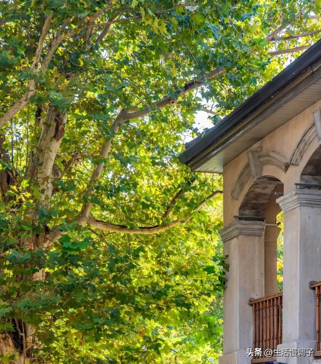 武汉十二月——一月一帧藏走过2025的四季光影