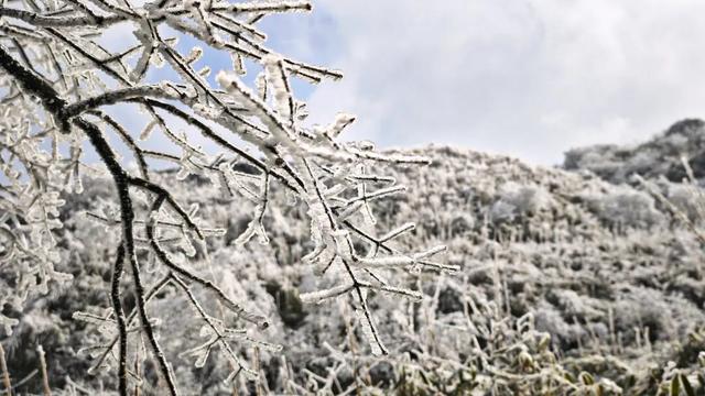 雪景 │ 美到词穷！仁怀首场雾凇惊艳上线