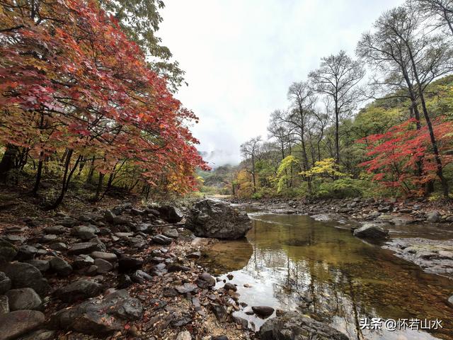 2025辽宁赏秋之旅日记(2)——游览丹东蒲石河森林公园