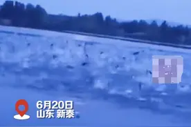 山东新泰官方辟谣“出现地震前兆”：震情监视数据无异常，鱼群跃出水面与天气有关图片