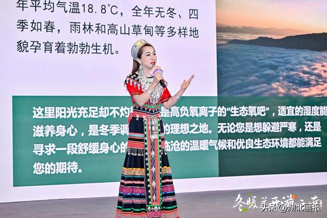 【知音湖北】“冬暖花开游云南”2025冬季文旅推广活动走进武汉 共绘跨区域合作新图景