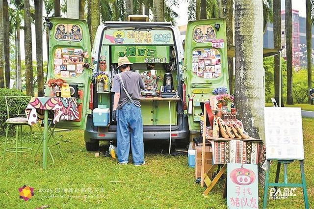顶流花展！深圳“掉进”簕杜鹃花海