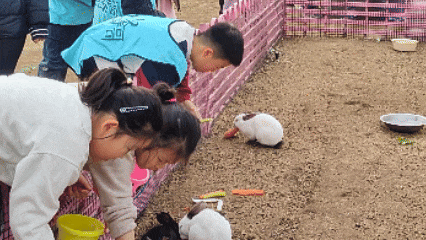 放春假・上春山 | 临沂景区宠粉「第四波」中小学生专享超多福利