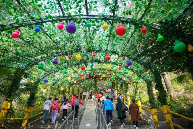 大年初六，迎六顺！观音山上众多游客接福接顺，解锁新春顺心游