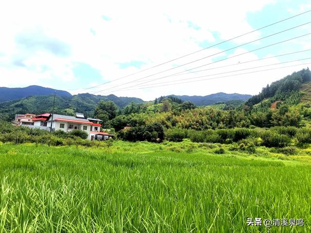 湖洋田里寻童趣