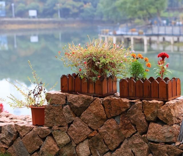 杭州人，去了德清跟安吉，直言不讳：德清跟安吉天差地别