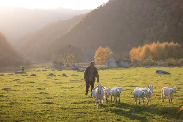 赏秋正当时！自驾来汉中，赴一场秋日视觉盛宴~
