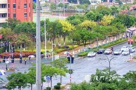 今日厦门有阵雨，明后天气温将回升图片