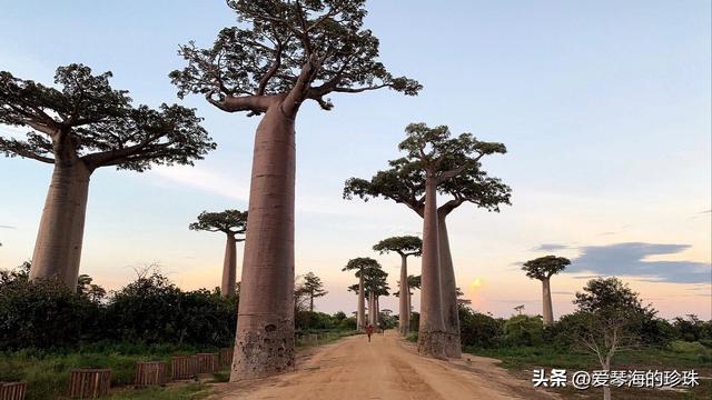 世界这么大，总要有一次童话之旅！十大绝美目的地推荐