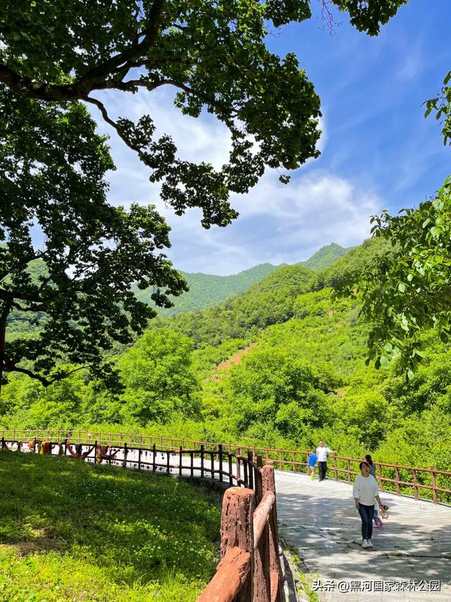 初秋限定美景，在黑河，听见了风与水的私语