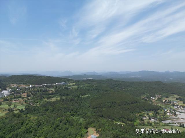 四川行(68)古蜀道——金牛道60公里徒步⑤普安到翠云廊沿途航拍