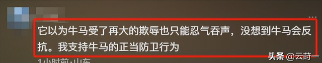 游客徒步遭牛群踩踏后续：景区回应，真相曝光后，网友直呼太活该