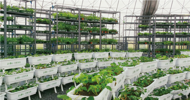 原来真的有城市，可以一天24小时都快乐~（2）