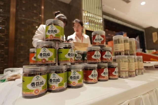 “投资保山·旅居隆阳”专题推介会在长沙成功举办——搭建跨区域合作桥梁 擘画旅居产业新蓝图