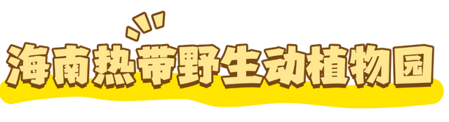 中秋国庆“金椰分”当钱花？海口这波操作真香！