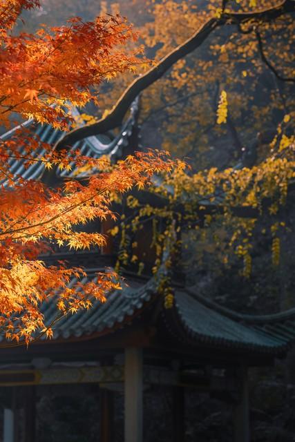 长沙私藏的五个红叶仙境，拍摄到最后一个美到词穷！