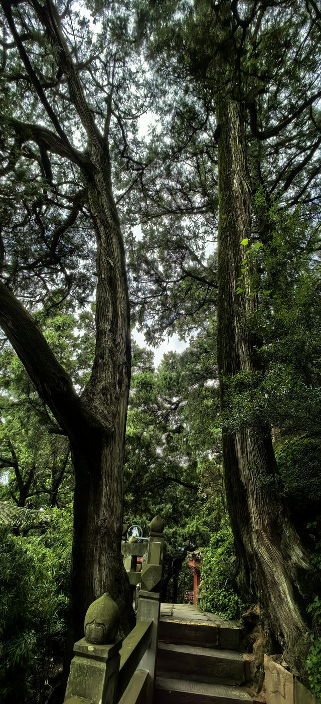蜀道记行‖从藏在深山的觉苑寺到香火鼎盛的七曲山