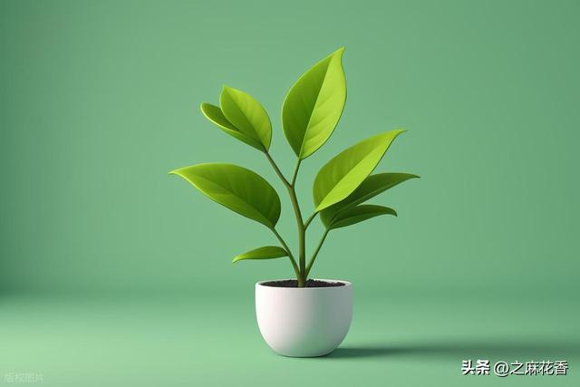 我的2025退休生活是这样过的