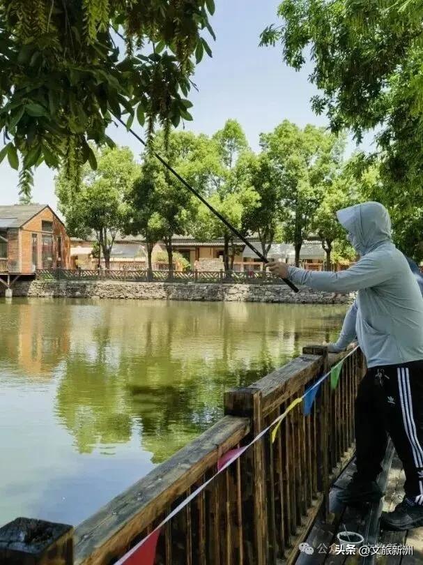 新洲景区集体“喊话”：老师，您辛苦了！这天请您来玩！