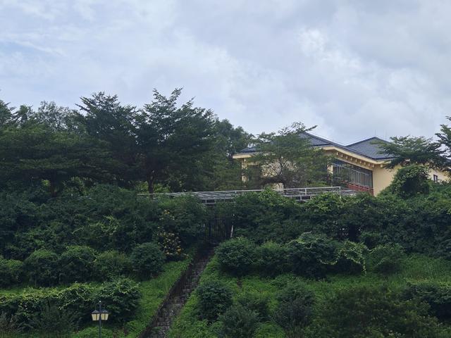 西丽湖国际科教城绿道高清随拍