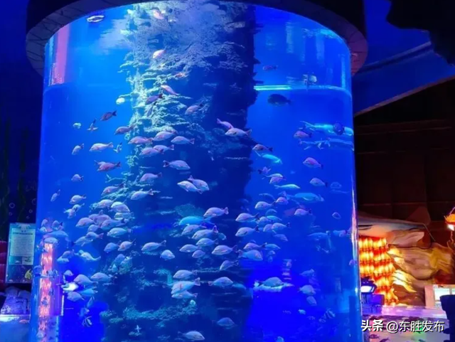 速来！半价特惠！