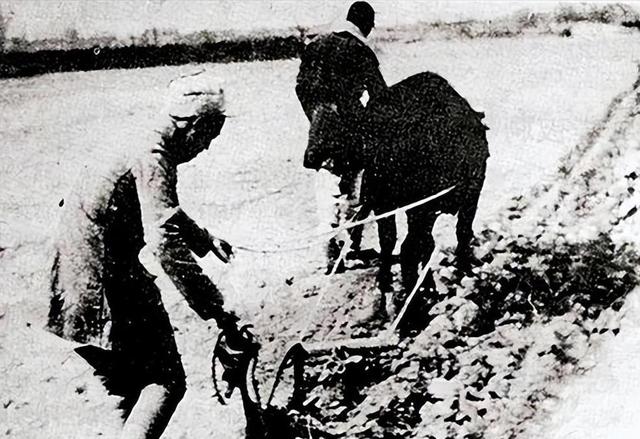 她从大队书记到中央候补委员，84年被开除党籍，退休后住进深山中