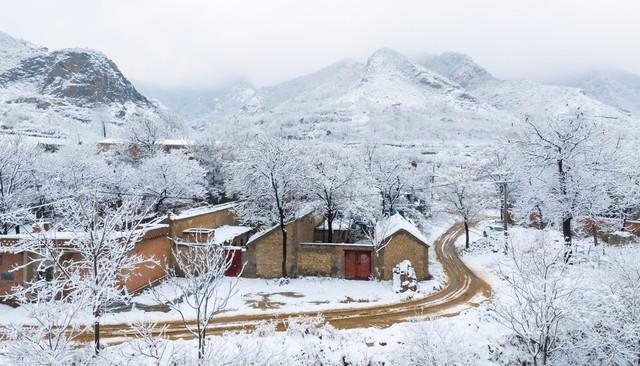 “白天冬至，单衣过冬，晚上冬至，冻死老牛”，今年冬至在几点？