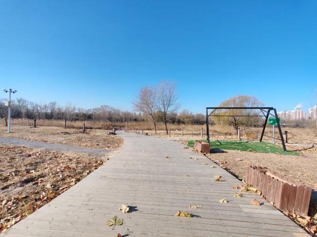 德州城西“花园营地”怎么不见了?