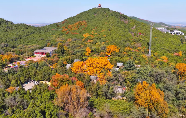 山东低调的4A景区，有棵4000年银杏树，被誉为“天下银杏第一树”