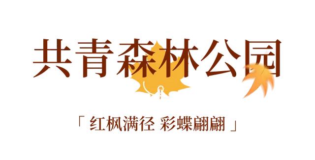 周五宠粉日|枫叶红“疯”了!沪上市区赏枫运动好地分享,更有运动好礼等你来领!